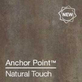 anchor point