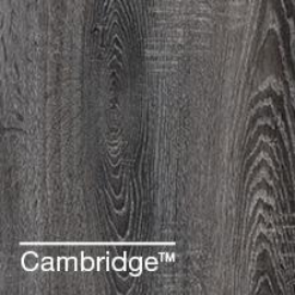 cambridge