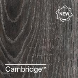 cambridge
