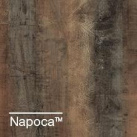 Napoca