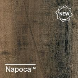 Napoca