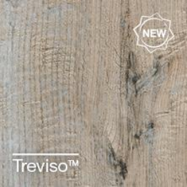 Treviso